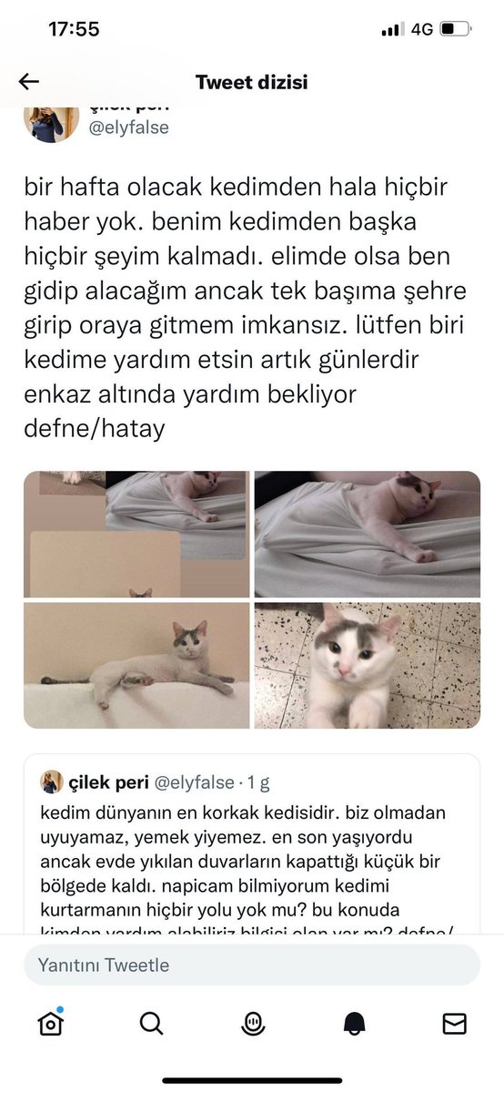 Bu çocuk hala yok :(