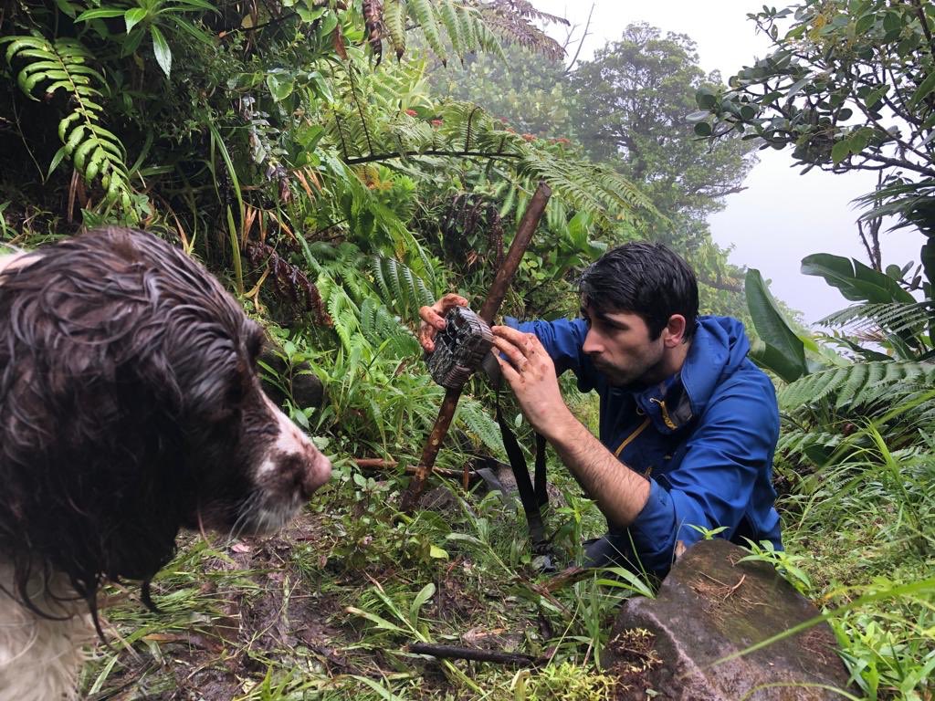 @YvanSatge checks camera traps as #conservationdog Africa looks on as part of ongoing #ExpeditionDiablotin in #Dominica