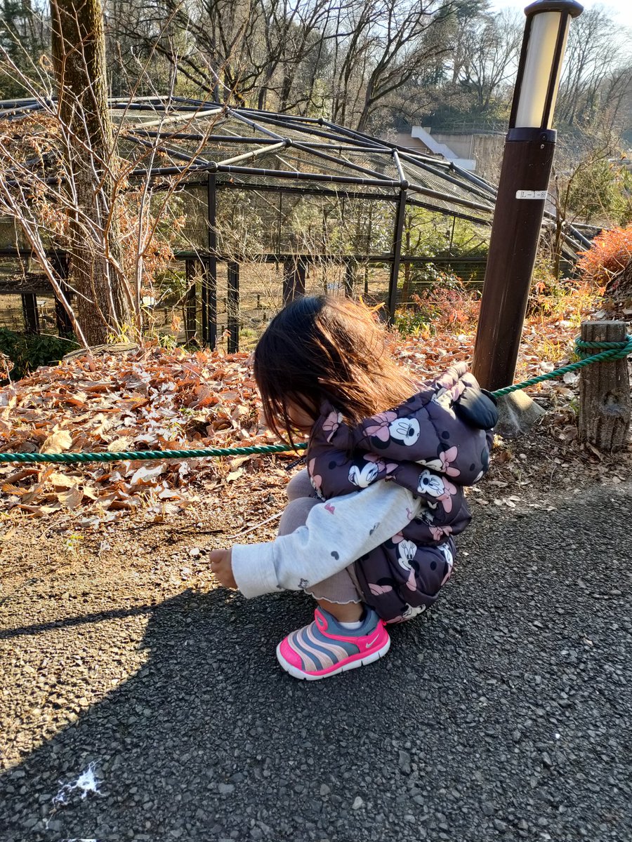 idekatsu24's tweet photo. 我が子が可愛いです https://t.co/9HHzMFLS5M