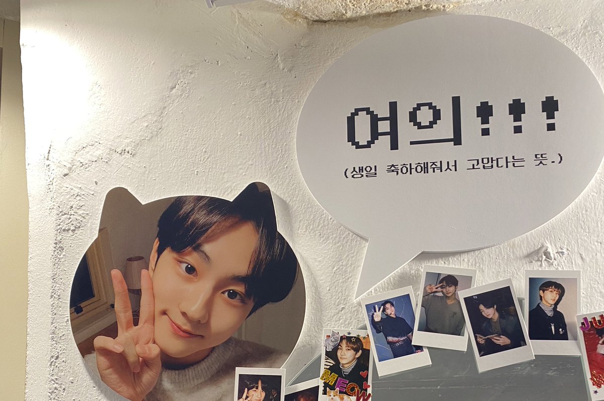 misang486's tweet photo. 📍카페 멜로우
#정원이와_냥앤롤
#GO_JUNGWON_GO

카페에서 정원군을 봤는데 실물이 더 훤하더라고요.. 머리가 제 주먹만했어요👍 https://t.co/7BKCJKf55g