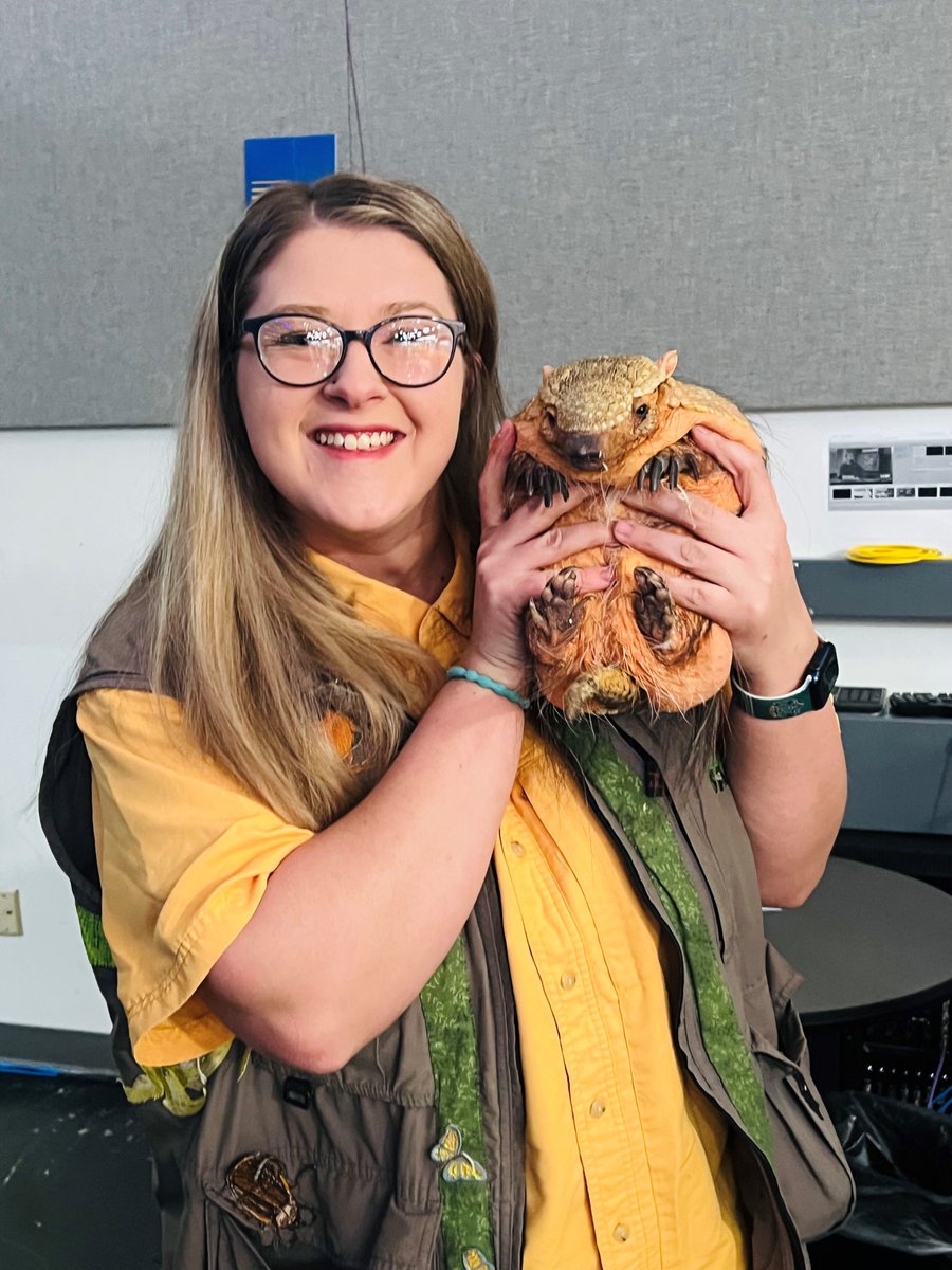 FOX59 News on Twitter "Ruffles the armadillo predicts the Kansas City