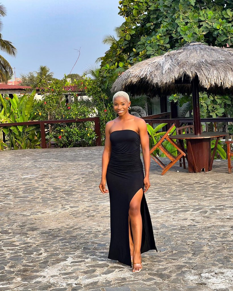 Sugar_brown tweet media