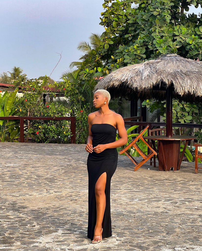 Sugar_brown tweet media