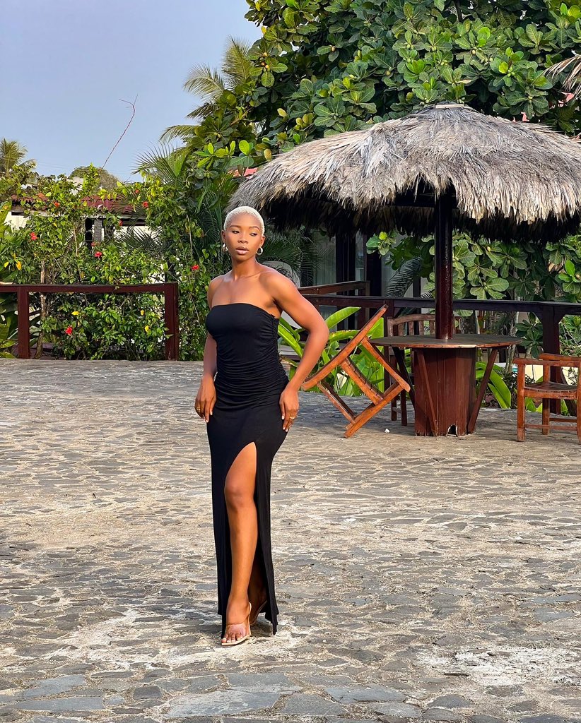 Sugar_brown tweet media