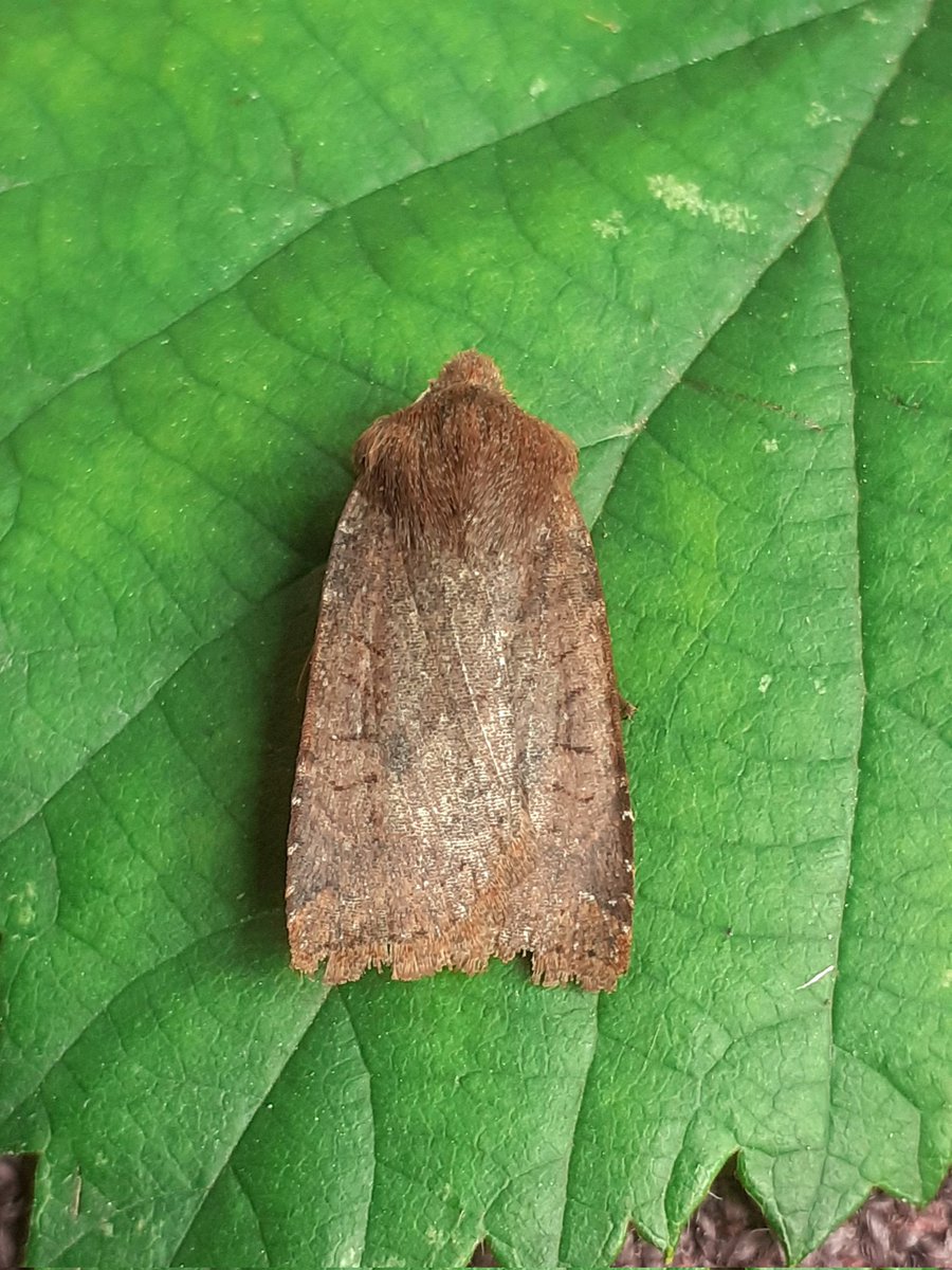 Clive Ashton tweet media