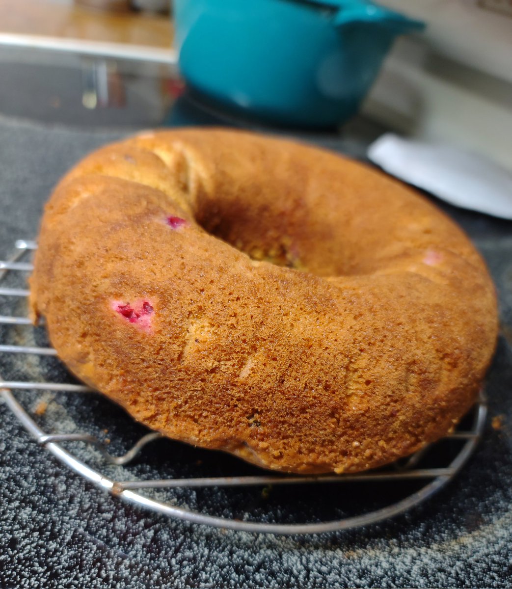 LoraHelou's tweet photo. Tapped my strategic reserve of cranberries. #tinycake https://t.co/w8UQqr9mFK
