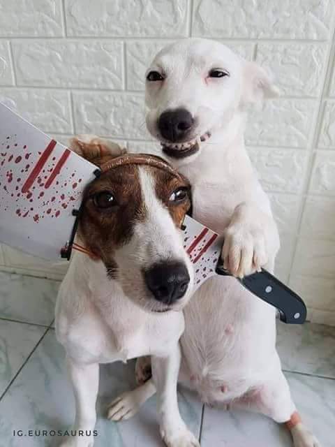 iti malias (@itimaliasof) on Twitter photo 