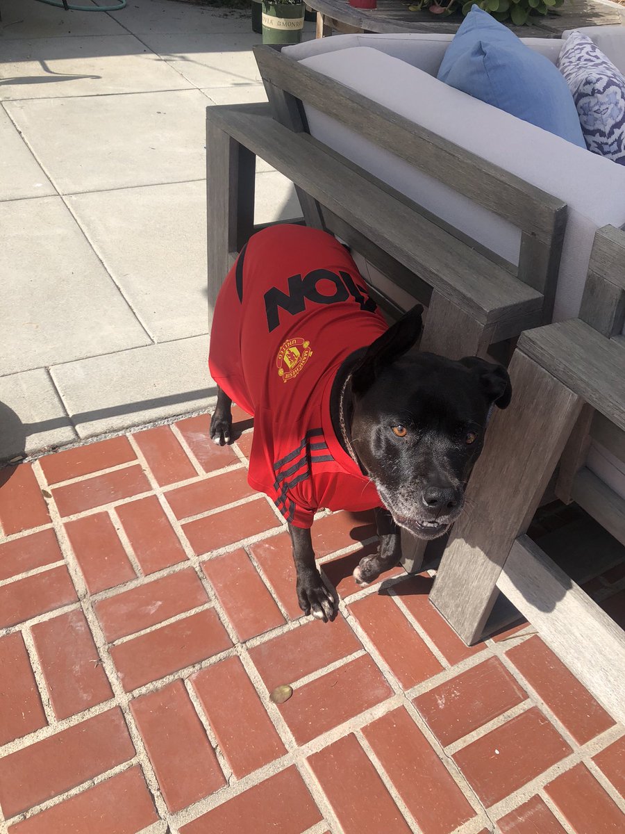 armandoRIT's tweet photo. @PLinUSA #MyPLMorning https://t.co/fHot78Y4ZS