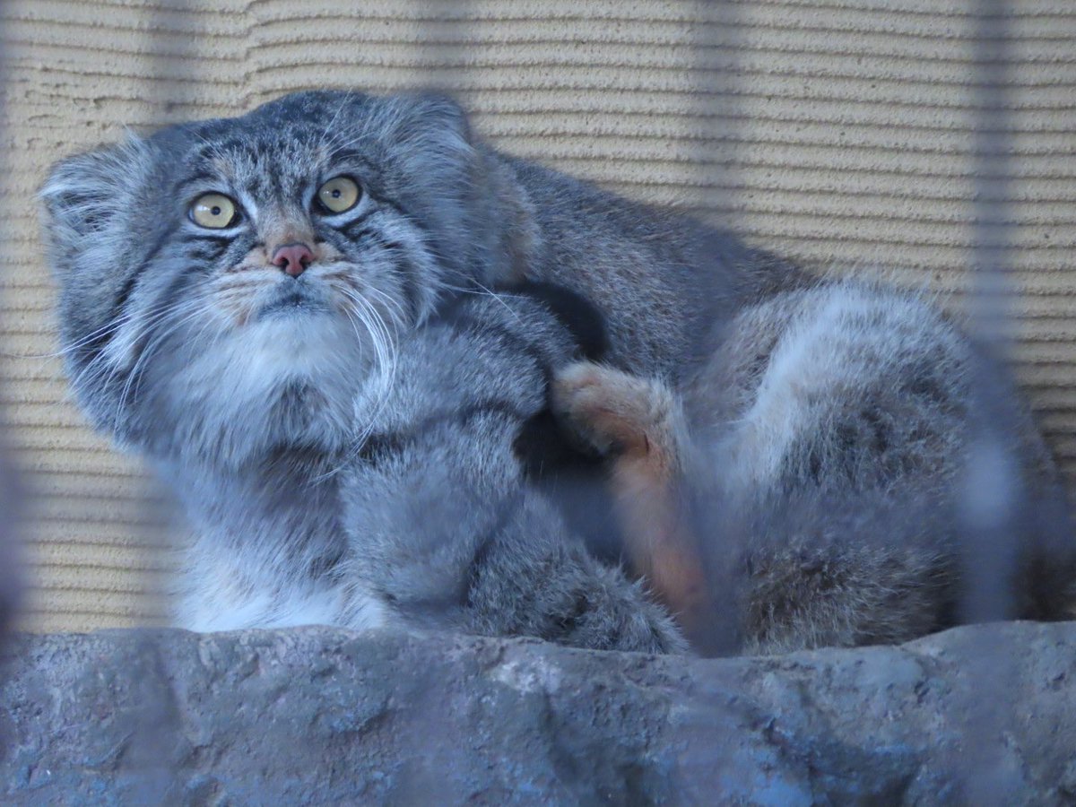 ゆーや★ on Twitter 