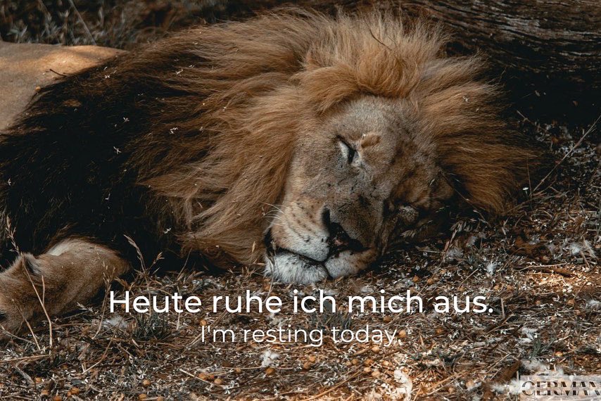 ForeignFuture's tweet photo. Are you resting today? 😌
#learngermanresting
#sundaytolearn
#learngermanwithus https://t.co/h1wqxALO8J