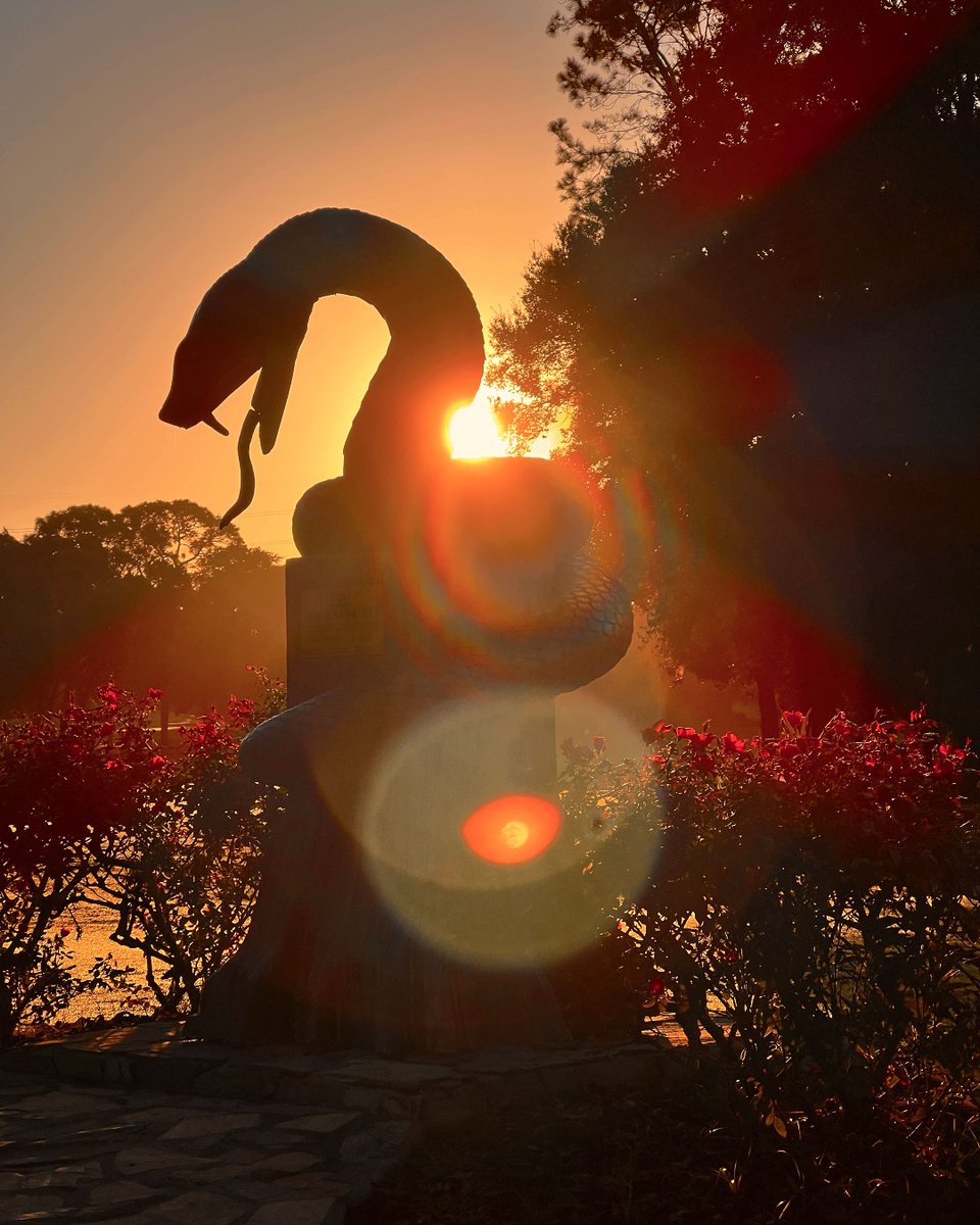 Time to rise, shine, and face the wrath of the Snake Pit.

#Copperhead #SnakePit #Golf #Innisbrook