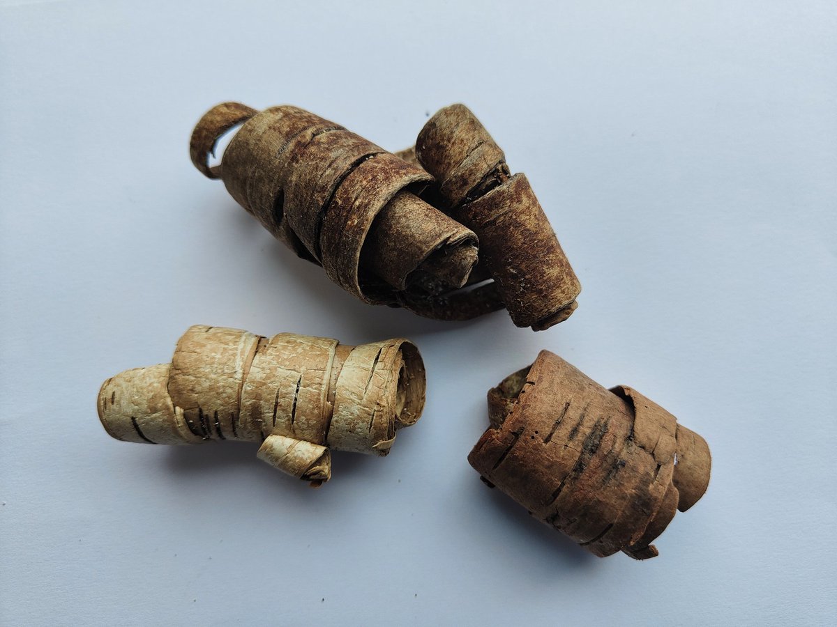 Catherine Munro tweet media