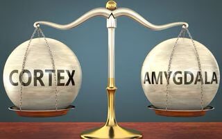 BrainChat tweet media