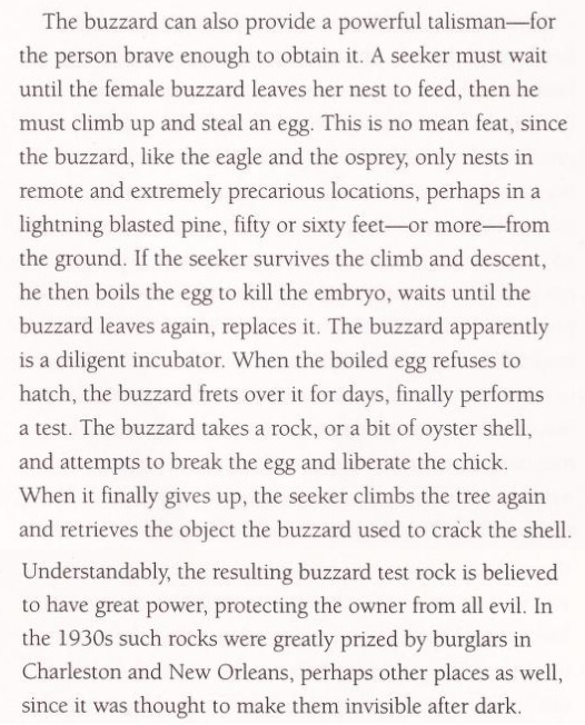 TheSwampWytch's tweet photo. Fascinating entry from "Blue Roots: African American Folk Magic of the Gullah People" by Roger Pinckney. I would think these would be very rare today. 

#FokloreSunday #Gullah #FolkMagic #Talisman https://t.co/UeGH1HL609