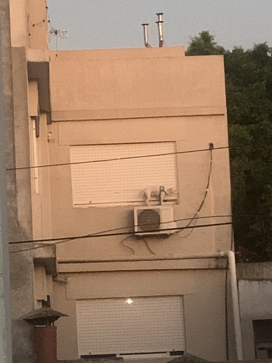 Rosariociudadok's tweet photo. Tenes que ser basura...
Edificio ubicado en Balcarce y Pasaje Dorado, bien en la esquina, vecino del segundo piso.

Gracias a @goguita_ por la imagen https://t.co/FTrkPsnZA4