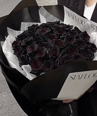 itmydefinition's tweet image. กุหลาบดำ (น.)
ไม่ได้มีความหมายที่น่าเศร้าหรือเจ็บปวดเหมือนสีของมัน เป็นดอกไม้แห่งรักนิรันด์ เป็นความรักที่จะคงอยู่ตลอดไป ไม่มีใครมาแทนที่ได้ กล่าวกันว่ามันหนักแน่นเกินกว่าคนคนนึงจะรับไว้ จึงเป็นอีกความนัยน์คือ “รักแท้ที่ไม่มีวันมีจริง” 🖤