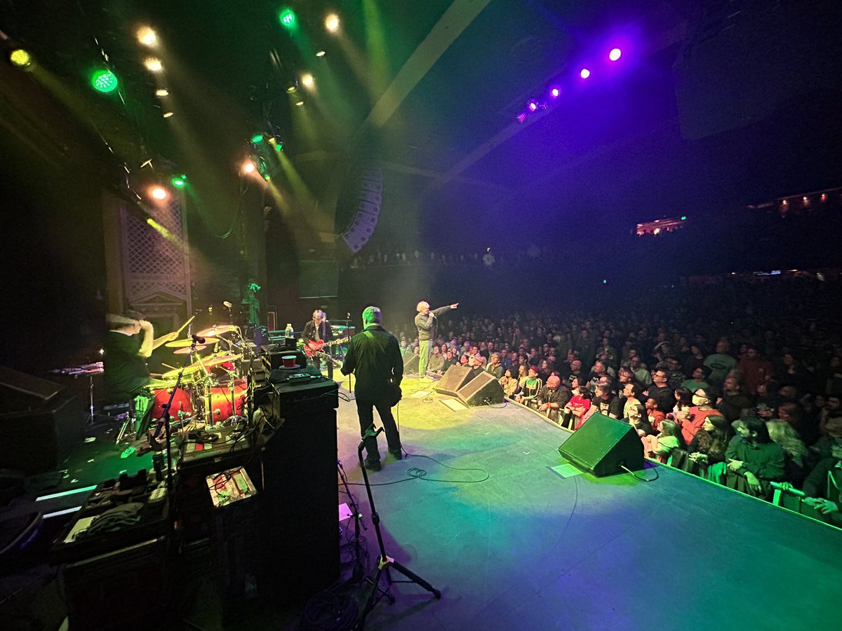 Tim Burgess tweet media