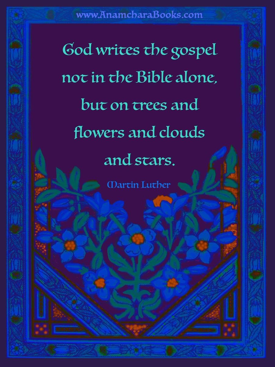 Servetus🇺🇦 (@servetus) on Twitter photo 