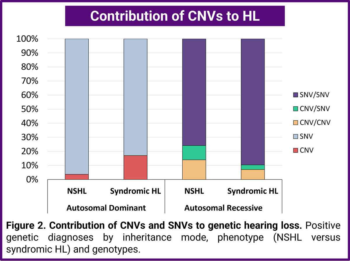 MORL_UIowa's tweet photo. Come check @mariawong_ poster on Copy Number Variants in Hearing Loss Poster #: SA94 
Her work shows they account for 1/4 diagnoses of ARNSHL  loss &amp; highlights the importance of their comprehensive testing for accurate diagnosis&amp; appropriate genetic counselling &amp; follow-up care https://t.co/jLhuk17Azk