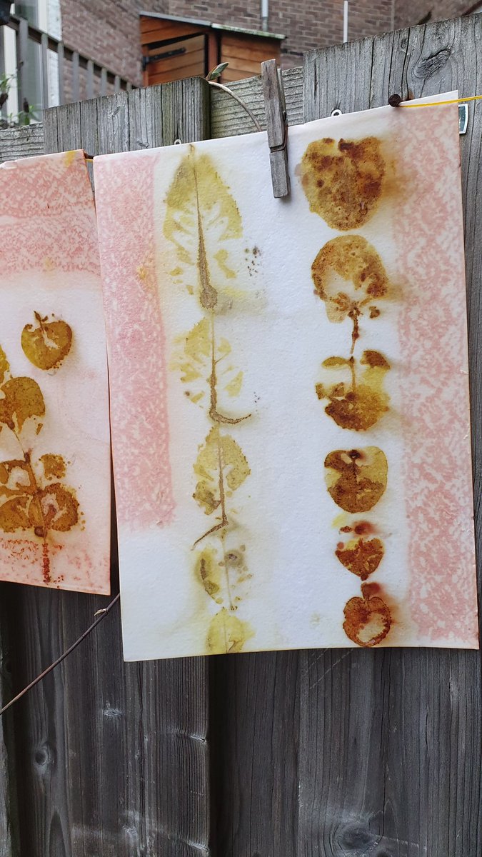 Ecoprinten is experimenteren.
Is het niet met bladeren &amp; bloemen zelf...dan wel de combi met kant!
Wit kant wordt rozenblaadjes-roze en is boven verwachting goed gelukt. Nu nog wat verder uitproberen voor de perfecte print. Experimenteren dus, met een beetje magie! 🧙🪄
#ecoprint