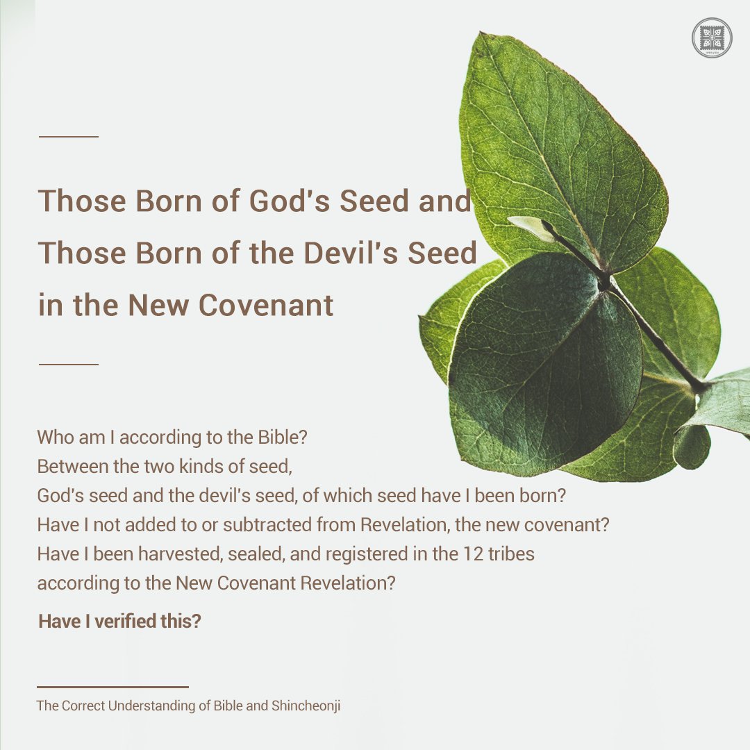 scjchurch_en's tweet photo. Those Born of God's Seed and Those Born of the Devil's Seed in the New Covenant

📝BibleStudy: https://t.co/Hv8gPHGXrh

#God #Devil #NewCovenant #Seed #bible #Truemenaing #Shincheonjichurch https://t.co/c1hfUG57NM