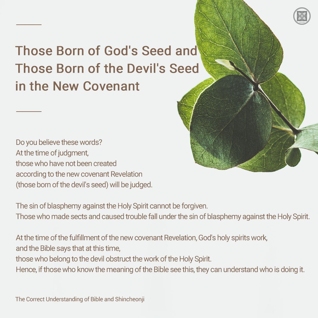 scjchurch_en's tweet photo. Those Born of God's Seed and Those Born of the Devil's Seed in the New Covenant

📝BibleStudy: https://t.co/Hv8gPHGXrh

#God #Devil #NewCovenant #Seed #bible #Truemenaing #Shincheonjichurch https://t.co/c1hfUG57NM