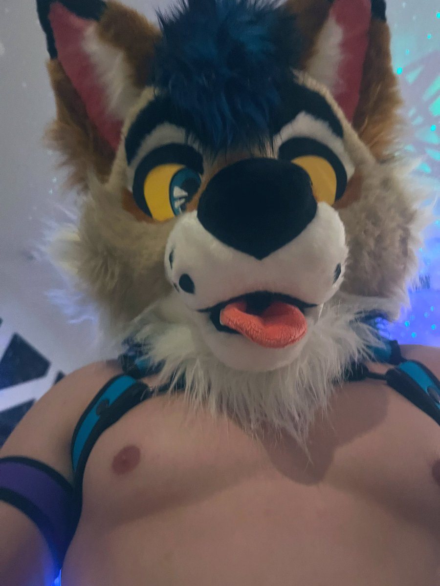 TigerSquat's tweet photo. No @RowdyYote, I am not a waffle. ๐คจ#Divication #DivicationIV https://t.co/RVi1cDWCp2