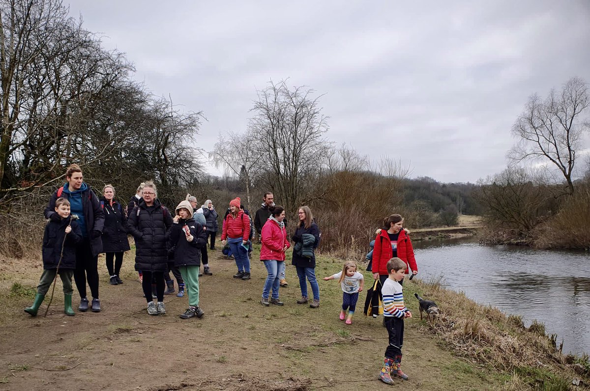 The Sunnywood Project 🌱 tweet media