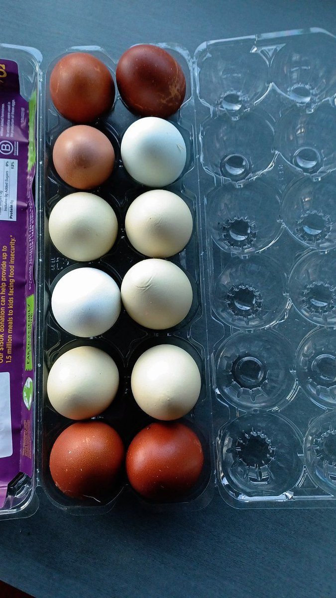 springfedfarm's tweet photo. For well over a decade, I left a weekly bag of homegrown veggies (and a note) at my neighbor's gate. She'd leave me a dozen of the best eggs in the world (and a note). At times, we didn't see each other for years. She's still going strong #barter #communityfire #pileburns https://t.co/6dUE8TLCYP