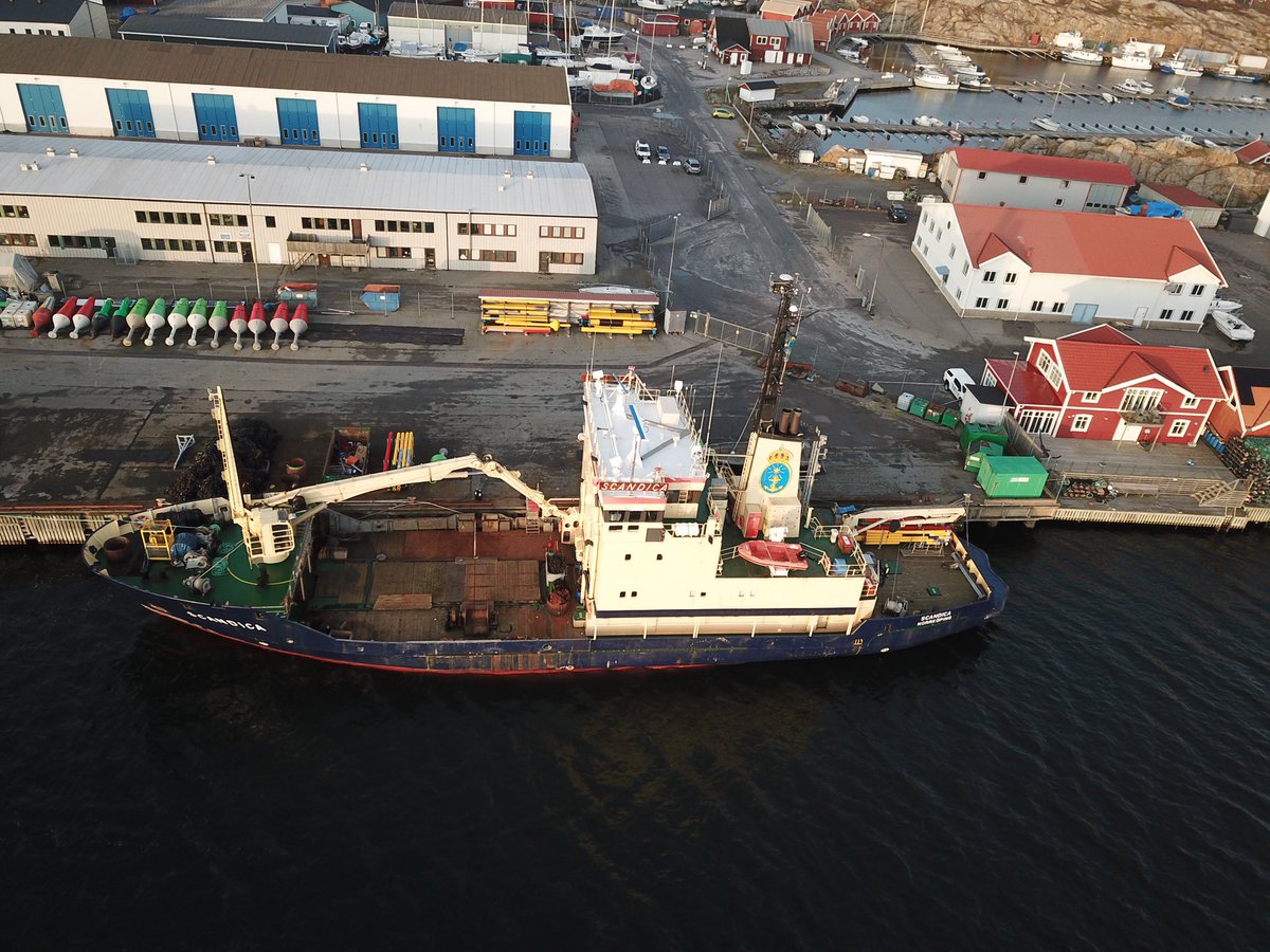 Captain Anders Hall tweet media