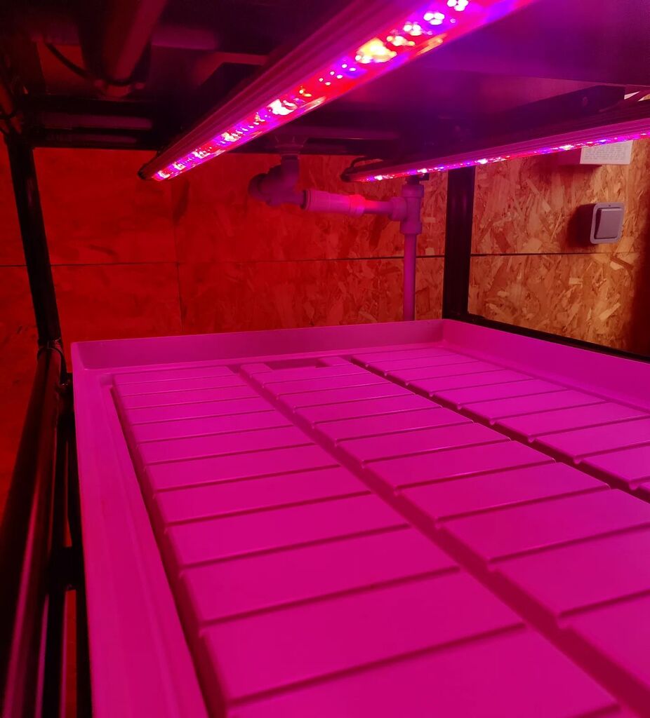 lotusbrook's tweet photo. Lots to learn this season now that we have our #ledgrowing unit. This project was delayed because of covid, but super chuffed that we got there in the end π
@northcountryken #microgreens #propagation https://t.co/sr15C2vU6B