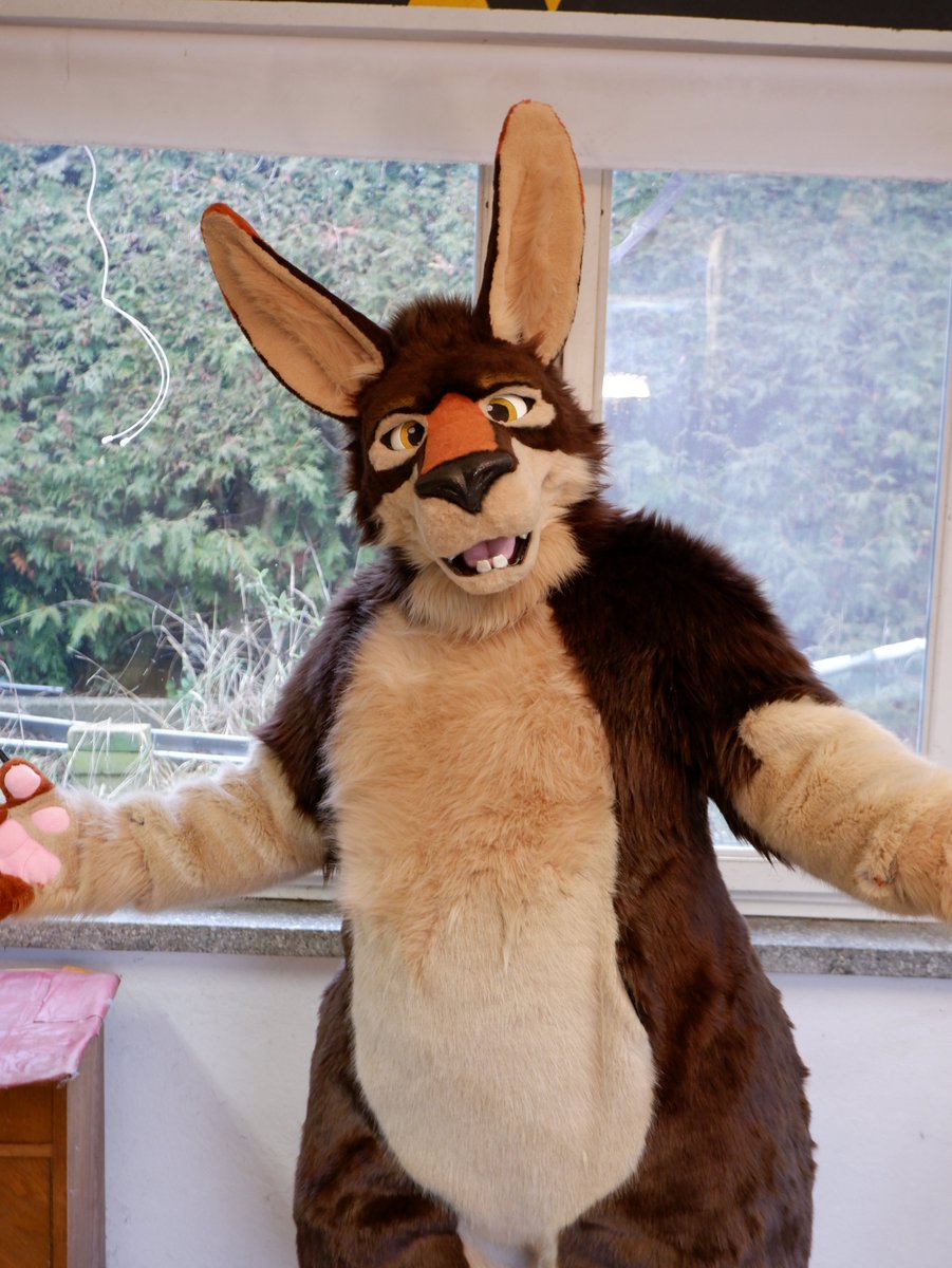 Wildspotworks Fursuits 💙💛 tweet media