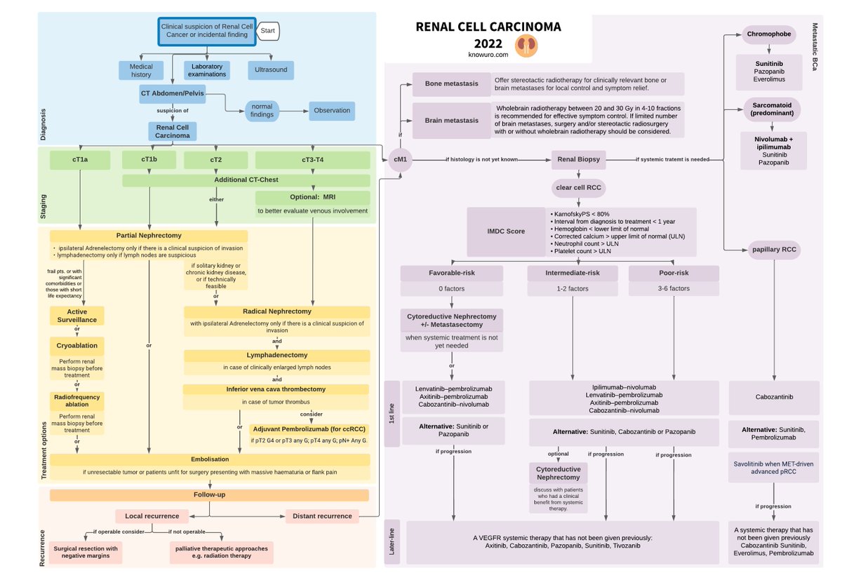 Hello #urology #residents!

Here is the flowchart for #renalcellcarcinoma. From diagnosis to treatment of metastatic disease.
(according to the 2022 guidelines)
Looking forward for the 2023 Guidelines 🙂
Free download at knowuro.com/goodies