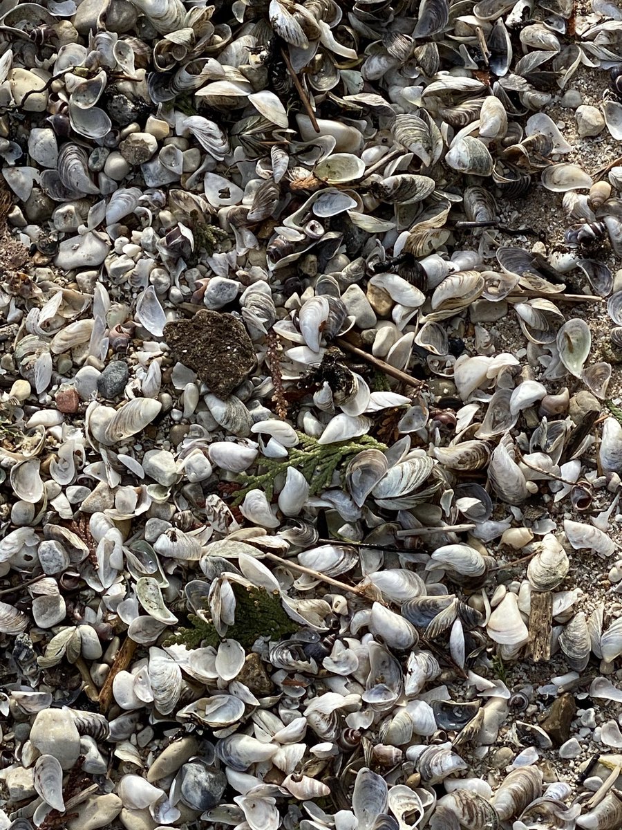 Exploration Project on Twitter: 