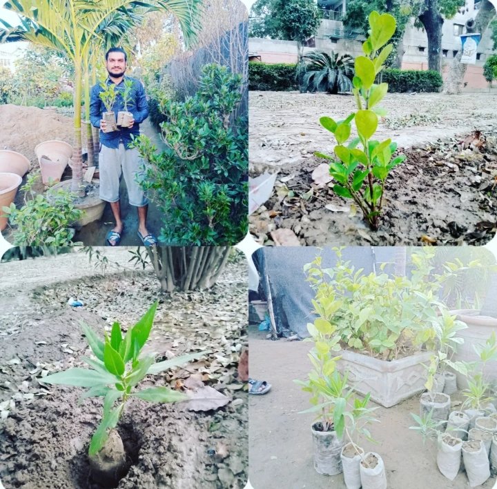 Mahendar_Parkas's tweet photo. #PlantForPeace #ClimateChange #PlantsDrive #PlantsForLife #msdosindh
#ConoCarpus #FicusPanda 🌳🌴🌿💐
#February2023 #environmental #environnement #earthquake #Karachi #Sindh #GreenSindh https://t.co/nMwP2gzCdl