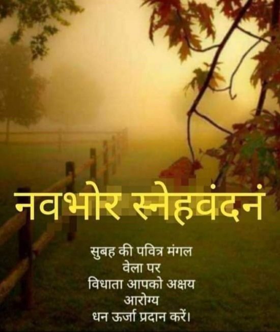 manojlibra's tweet photo. Hello @PratibhaKulshr8 https://t.co/AHnUpZg8eH