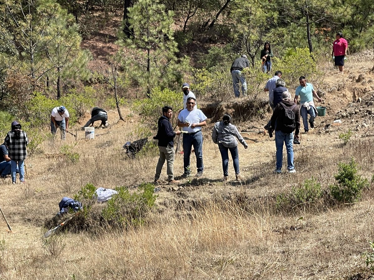 GCCO.Mexico&CA tweet media