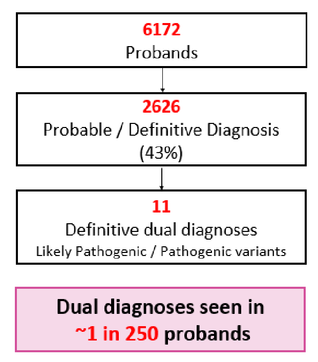 MORL_UIowa's tweet photo. Should you consider dual genetic diagnoses on multigene hearing loss panels? YES! 
1/250 probands had dual genetic diagnoses. See 
 Amanda Schaefer @ poster TU97 to learn about the complexity of counseling and clinical care. @IowaOto @MORL_UIowa https://t.co/Ze3unTjtcr