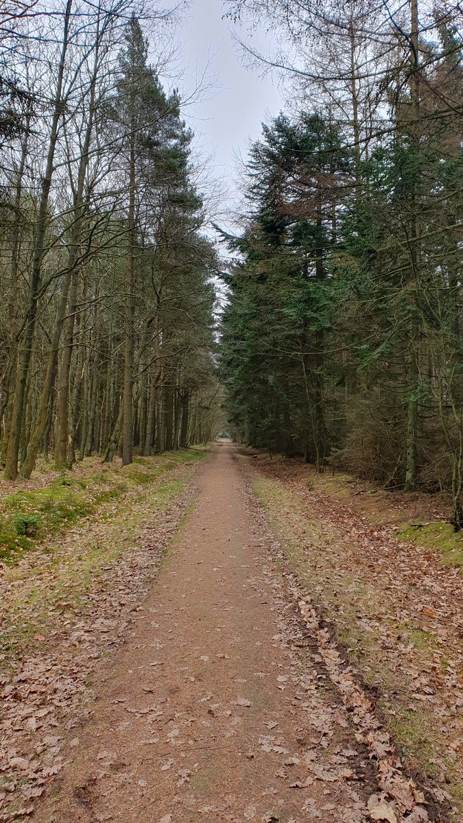 addingvalue2u's tweet image. Deafening silence of Mother Nature, so relaxed after my Sunday walk.