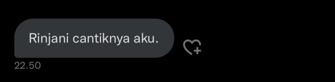 I love this message notification haha.