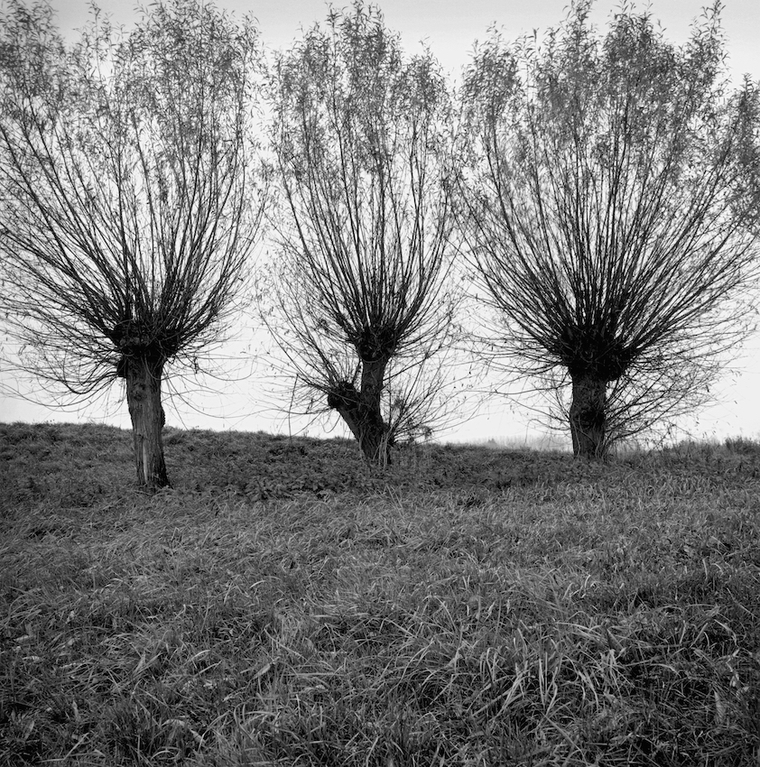 PAUL HART tweet media