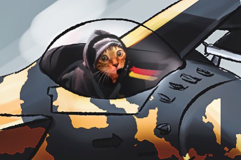 endarlike's tweet photo. Cat in #f14 https://t.co/rnMerSpkuV