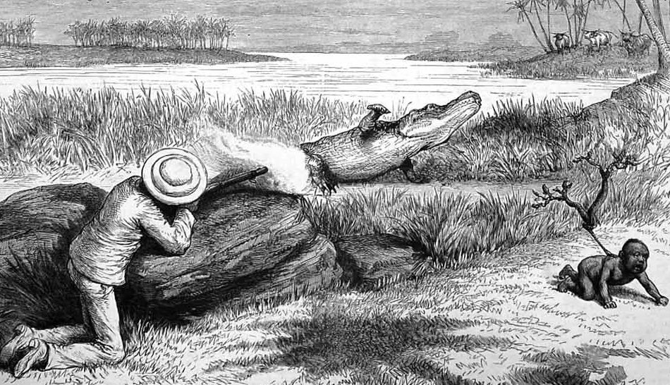 Judith Shields 🇨🇦🇬🇧🇫🇮🐝🦋 🌳🐎🕸🩹 on Twitter "RT iamMauriceW Did you know