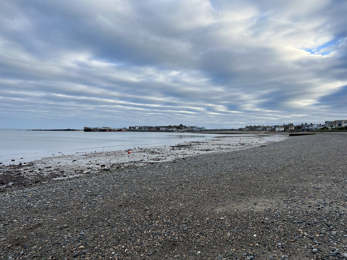 jamescorr's tweet photo. Day 43 #100daysofwalking @NTBreakfast up and out early this morning as daughter has soccer match, won 3-2!! ⚽️🎉 https://t.co/MAkNd9iYaH
