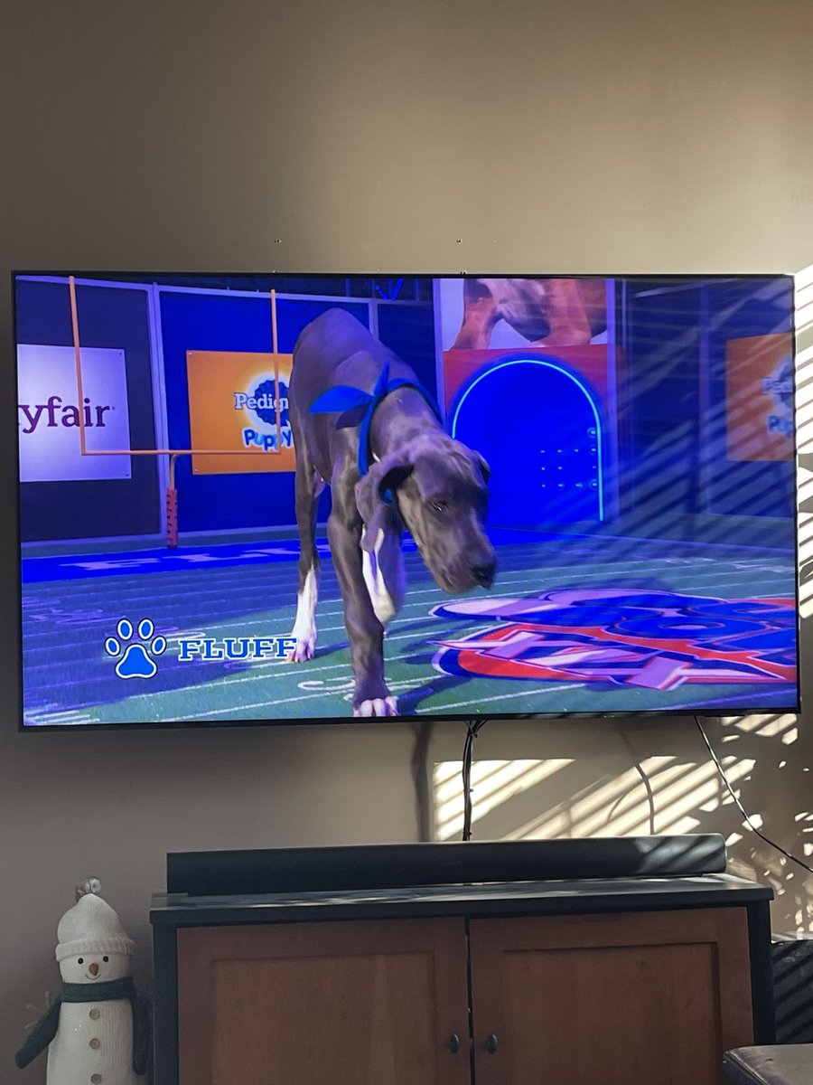 The pup our house has been waiting all day to see!! Go Velma!! ❤️
#PuppyBowlXIX