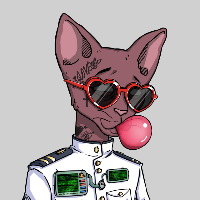 Just joined <a href="/CetsOnCreck/">CetsOnCreck is now CETS</a> I've always wanted to. 

This chat is lit even on a Sunday 😂