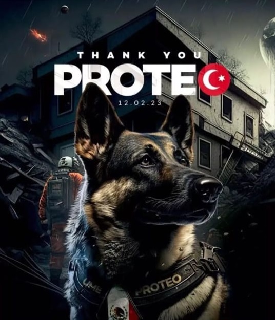 Kurtardığın hayatlar için minnettarız patili melek 😔