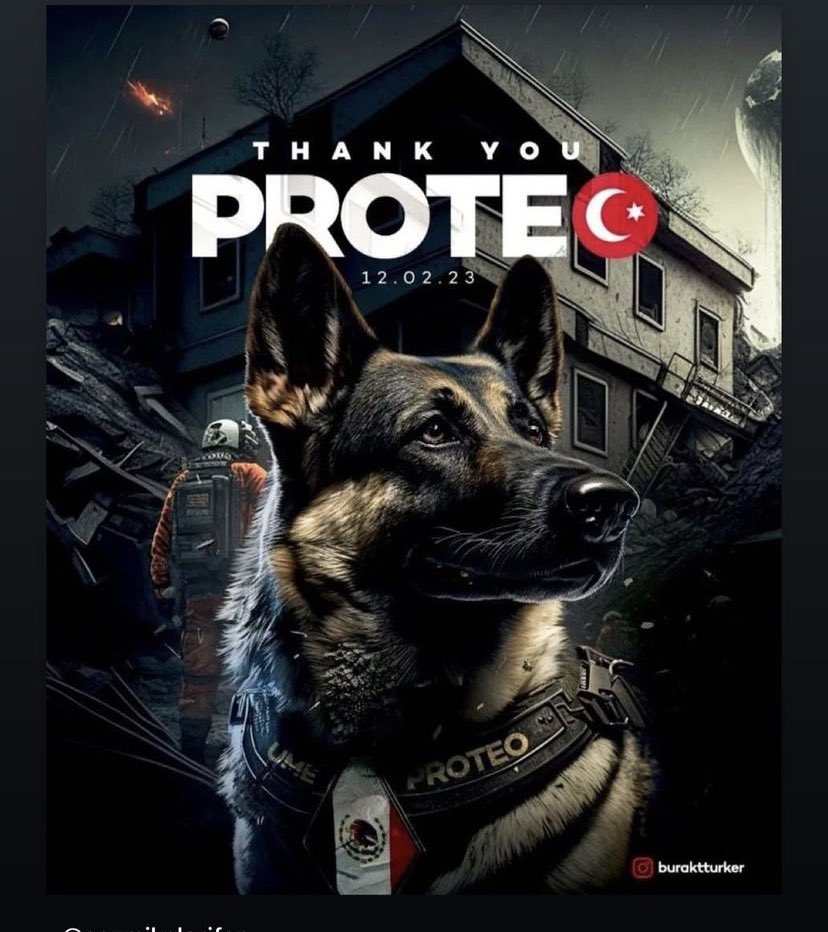 ozertgba's tweet image. Her şey için sana minnettarız 🥹 #prote 😔♥️