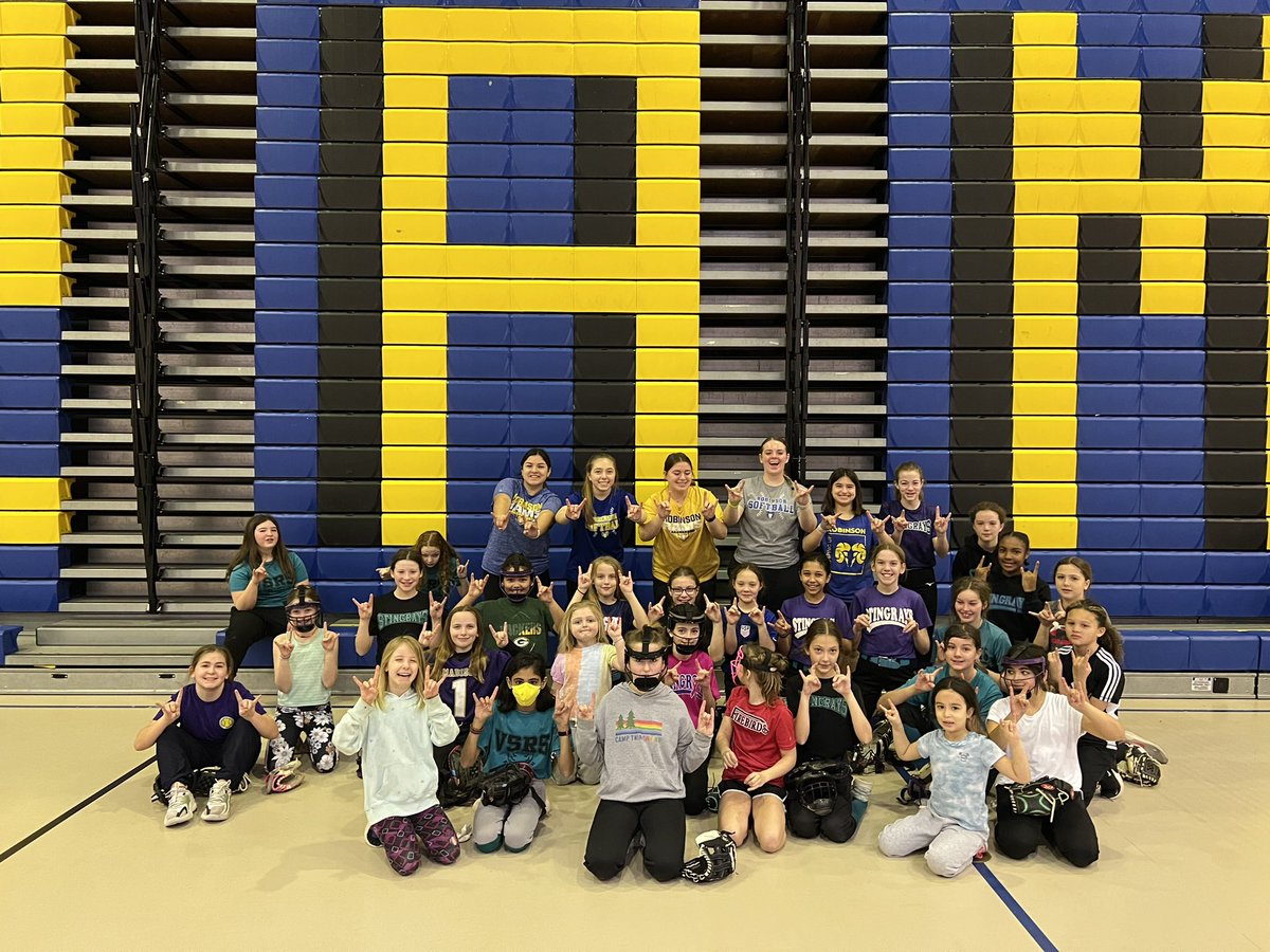 VA Stingrays Fastpitch tweet media