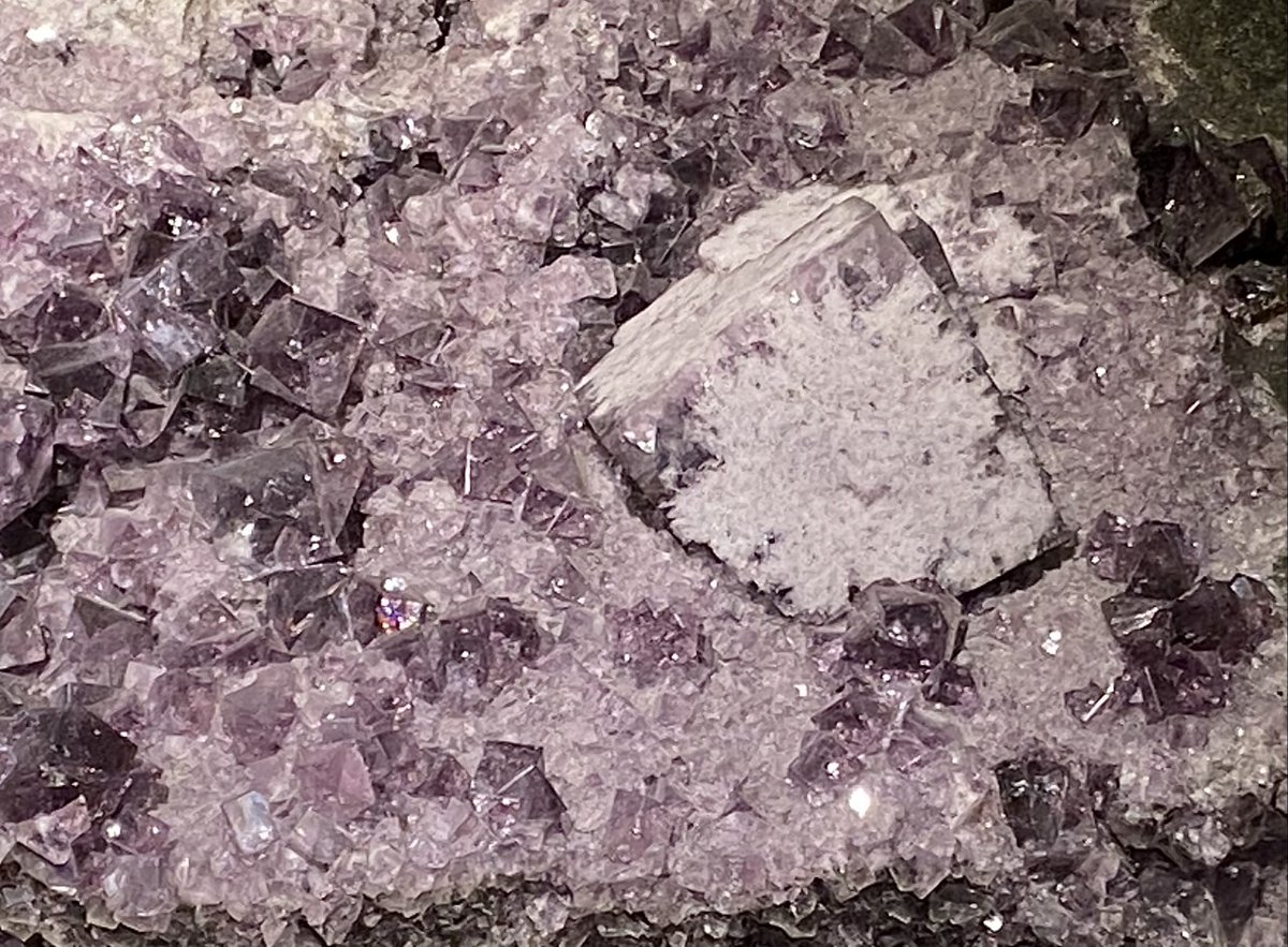 On Friday I will be doing a virtual talk for GeoForum Munich on using social media for geo-science communication! Please register here: lmu-munich.zoom.us/meeting/regist…. 

Also check out the variety of purple fluorite crystals on this specimen!!

#MineralMonday #SciComm #GeoscienceTwitter